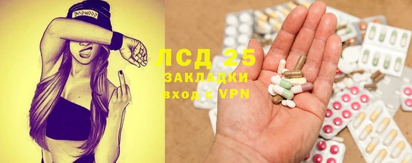 твердый Арсеньев