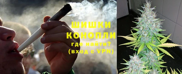 твердый Арсеньев