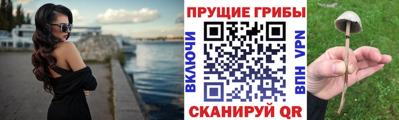 Псилоцибиновые грибы прущие грибы  купить   Игра 
